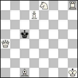 4N2R/3P4/8/2k5/Q7/8/8/2B4K